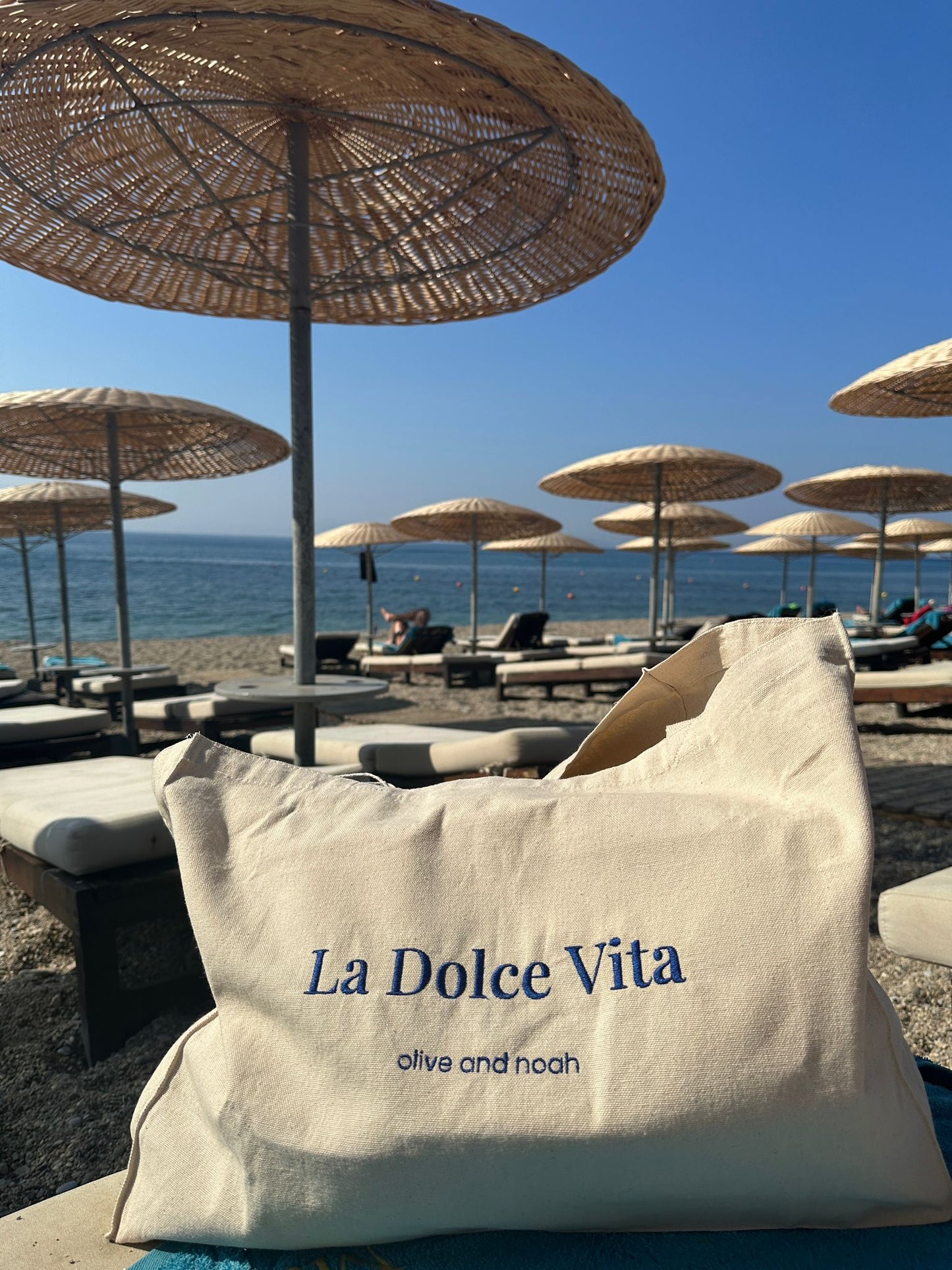 la dolce vita xl tote